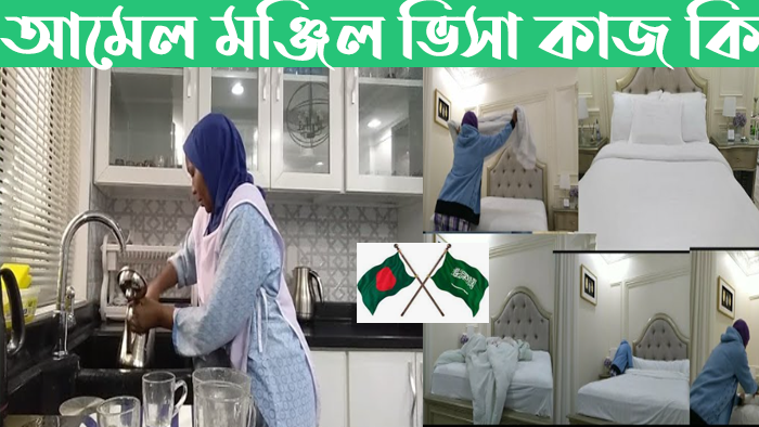 আমেল মঞ্জিল ভিসা কাজ কি