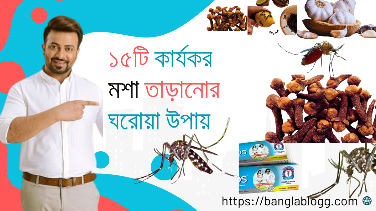 তেজপাতা দিয়ে মশা তাড়ানোর উপায়